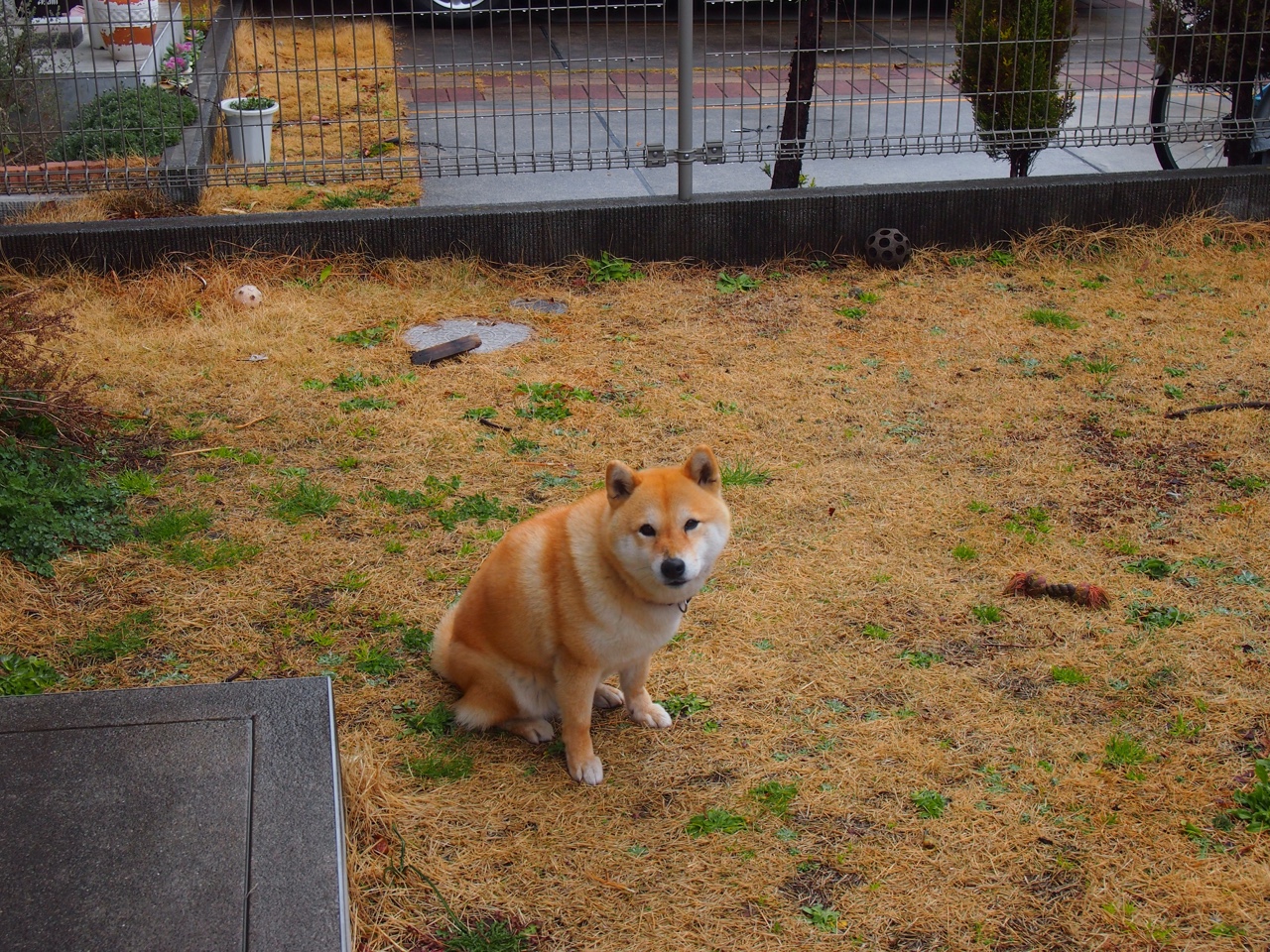 欧洲足坛格局暗涌,从葡萄牙的防反哲学到内马尔的个人英雄主义时代