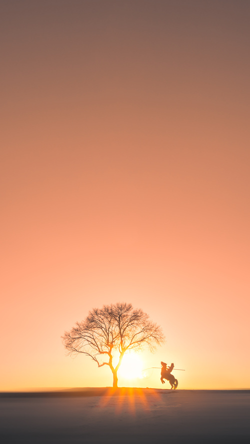 开云体育平台APP-霍勒迪定律，舞台越大，表现越强—开拓者vs灰熊的巅峰之战启示录