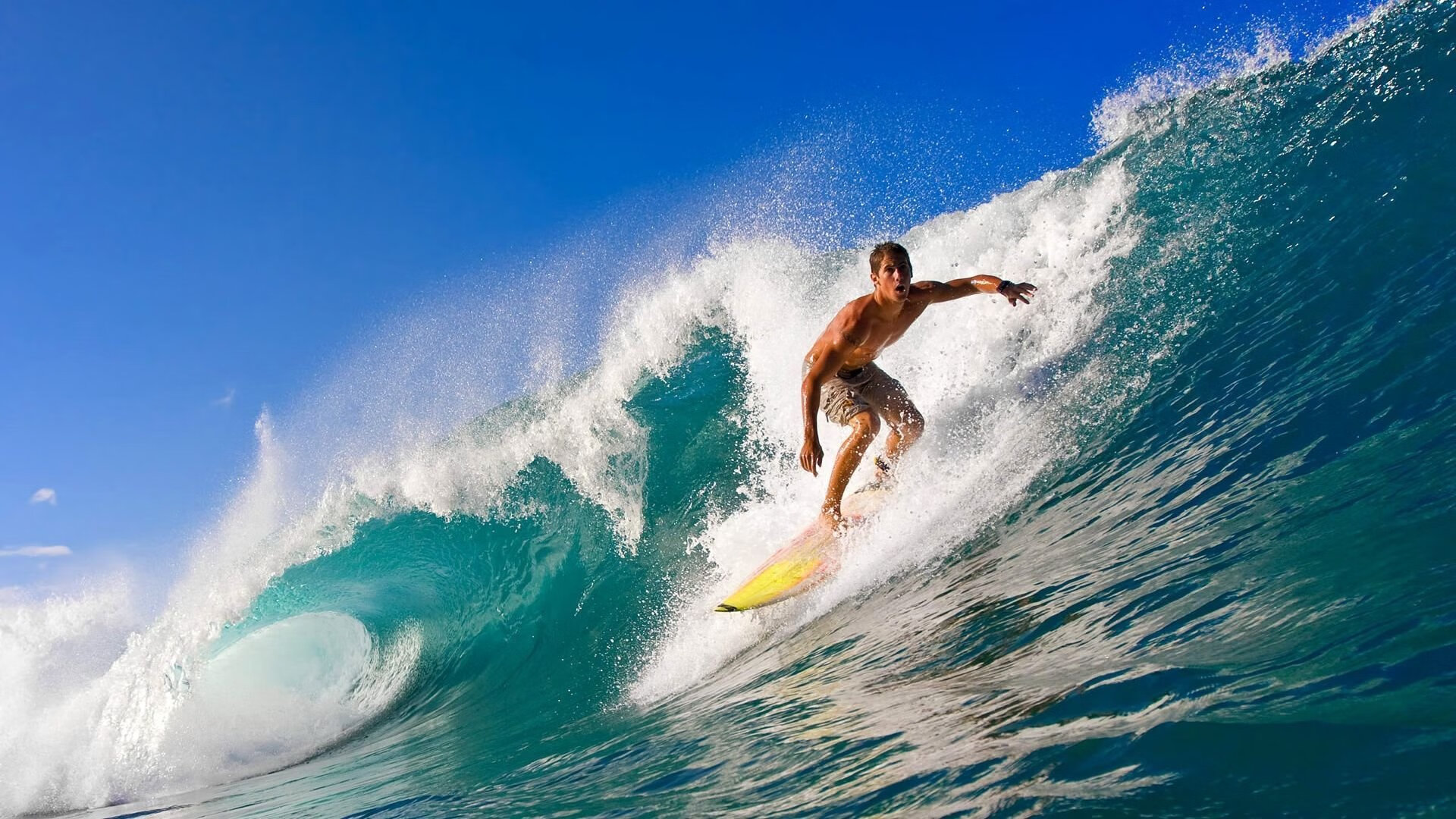 当王者诞生前夜,福克斯的纪录之夜,如何为新生代正名?