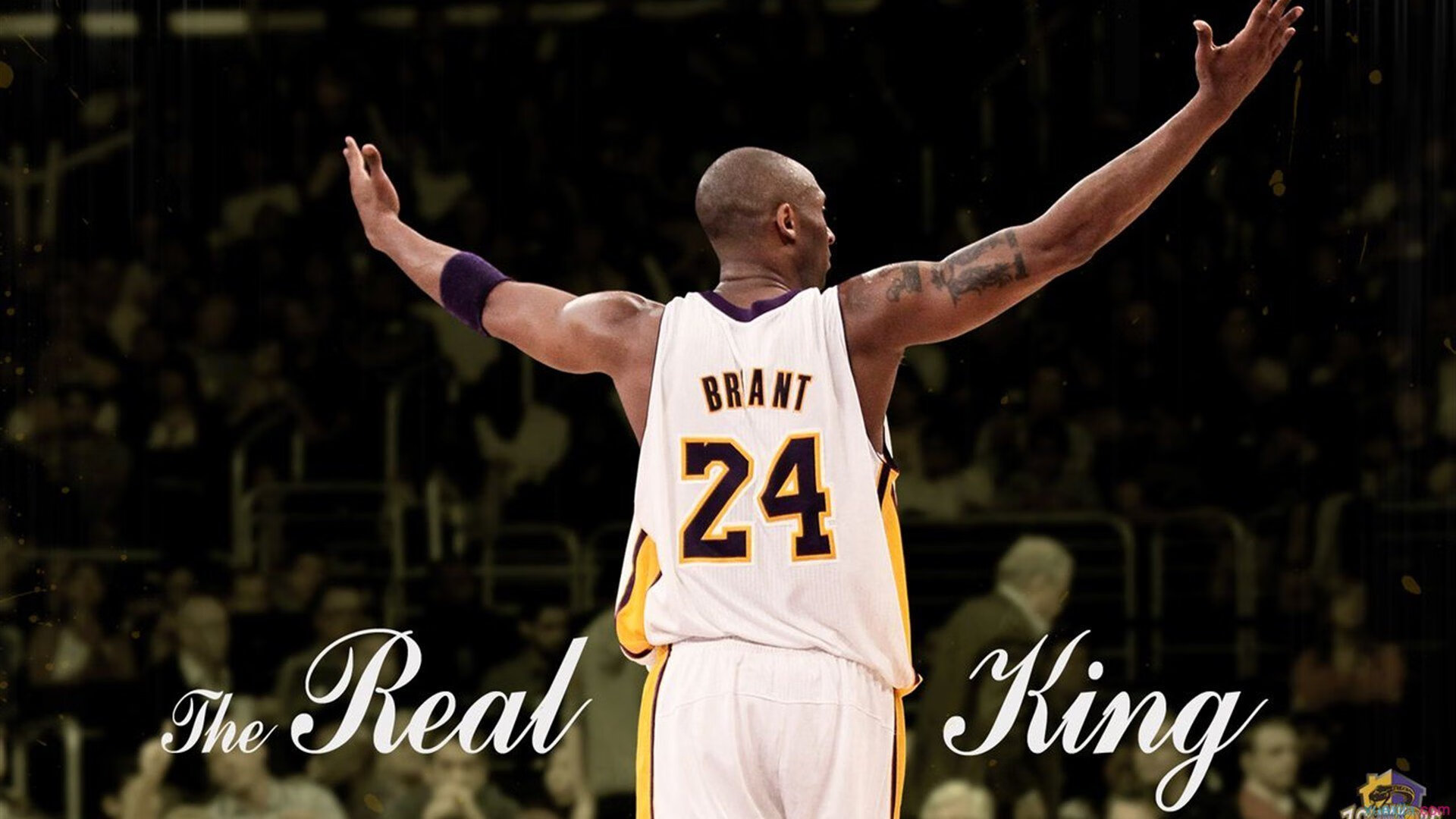 开云体育中国-黑夜里的一剑封喉，2026，欧文用十七年孤独淬炼的致命救赎